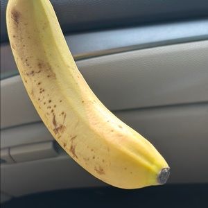 Meet your Posher, Owen